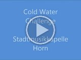 Cold Water Challenge 2014 - Stadtmusikkapelle Horn.mp4